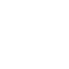 ZiLash