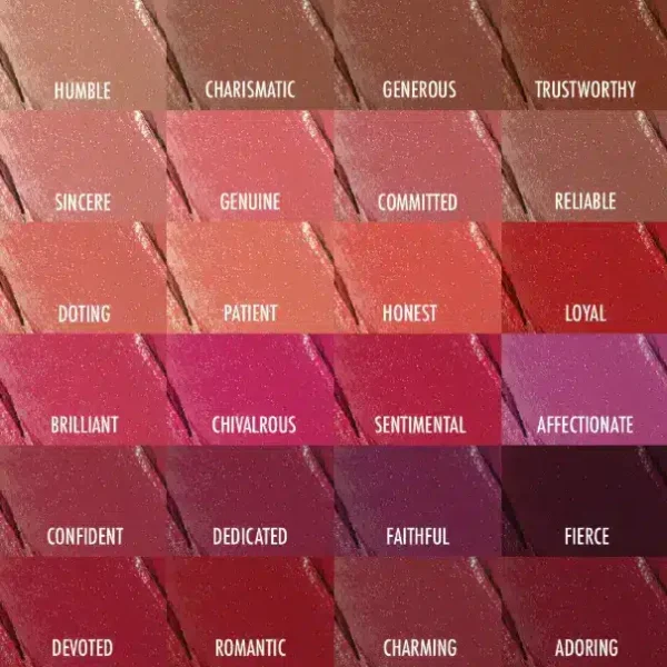 LABIAL MEET MATTE HUGHES THE BALM