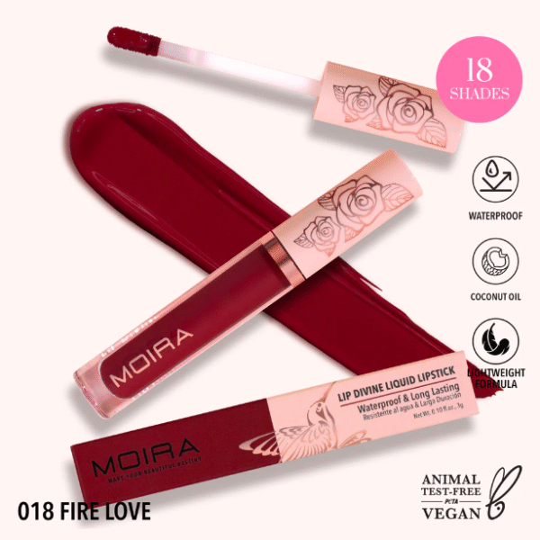 Lip Divine Liquid Lipstick DLL