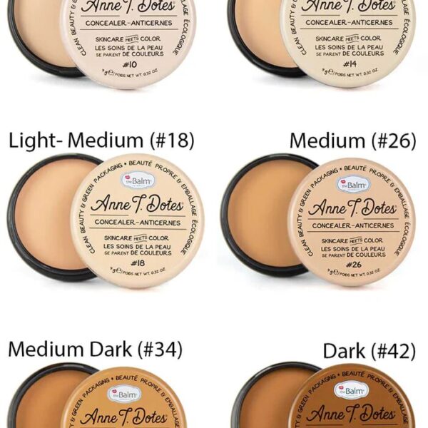 Anne T. Dotes Concealer